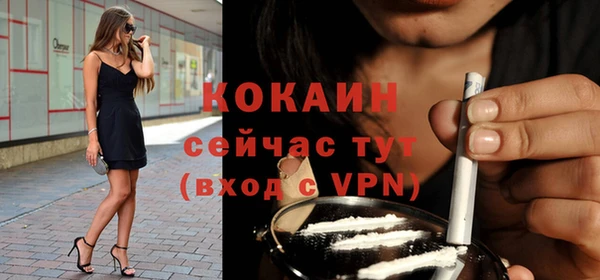 дмт Надым