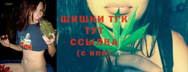 дмт Надым