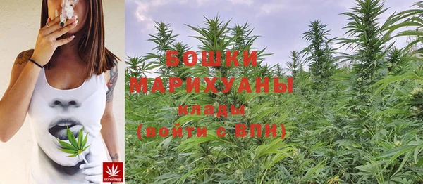 дмт Надым