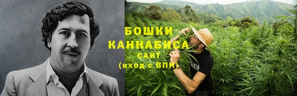 дмт Надым
