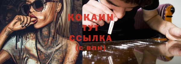 дмт Надым