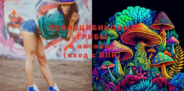 дмт Надым