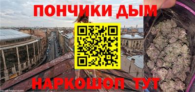 Альфа ПВП Дубна