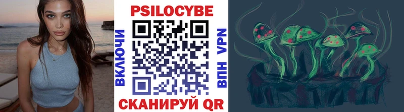 Псилоцибиновые грибы Cubensis Екатеринбург