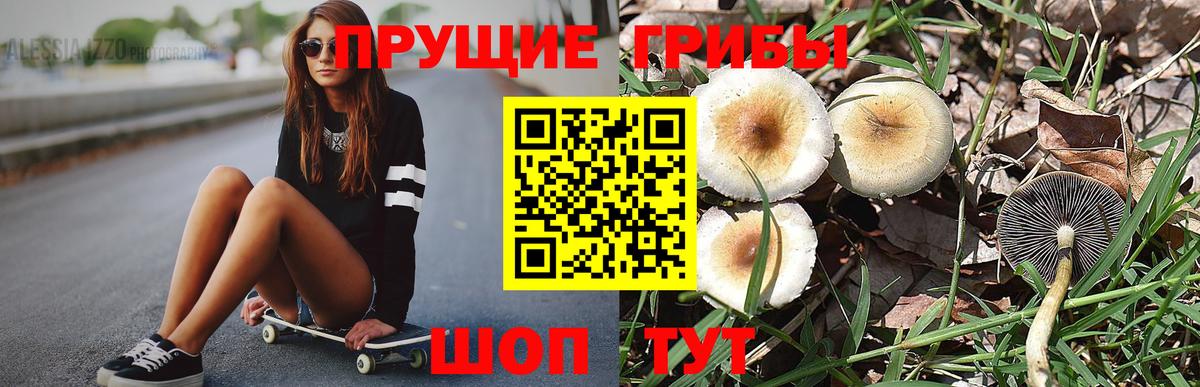 Псилоцибиновые грибы мухоморы  Екатеринбург 